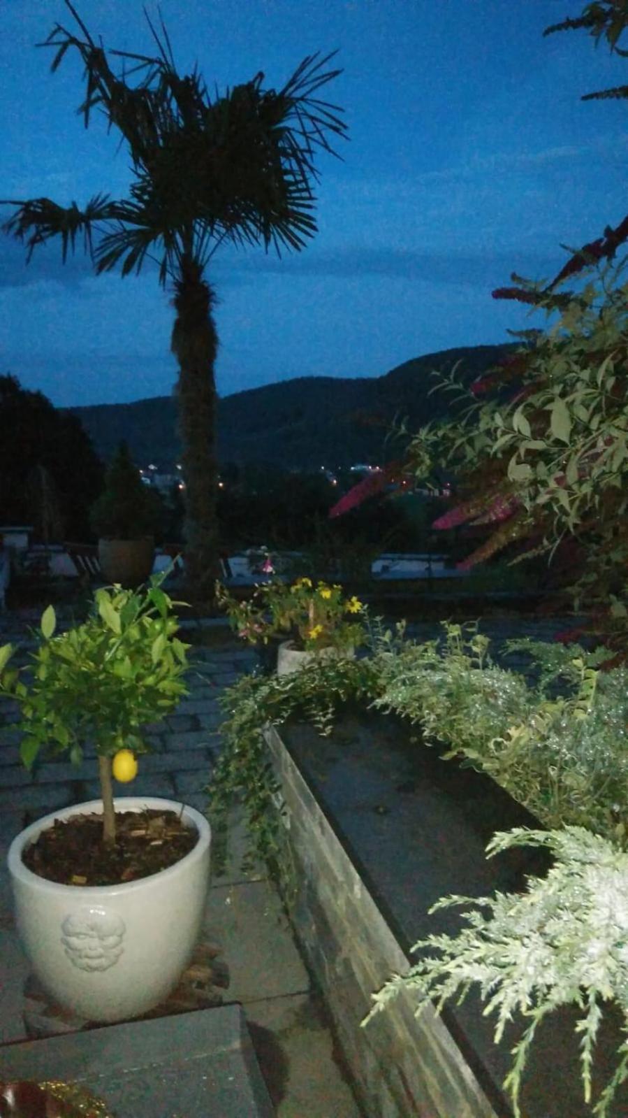 Seeblick Oase Obermaubach